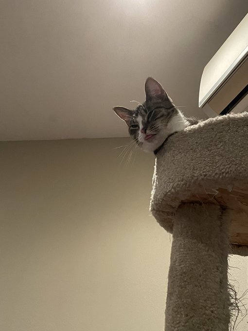 tongue https://t.co/ZrXmuxFQTF<a href="/tag/music"class="tags"><span>#music</span></a>