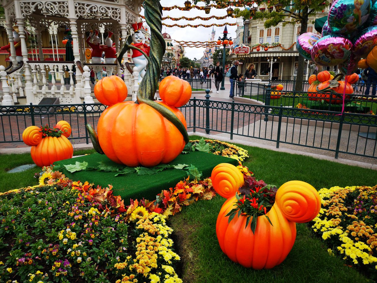 Planetary_Pilot's tweet photo. #HappyHalloween2021
πππππππ»π»π»πͺ¦πͺ¦πͺ¦β°οΈβ°οΈβ°οΈβ οΈβ οΈβ οΈπππ
#DisneylandParis β¨πΈβ¨ #disneymagicmoments β¨πΈβ¨ #DLPMagicForever β¨πΈβ¨
βΆοΈ https://t.co/csB2t1nSeJ https://t.co/RgtJrdjqIY