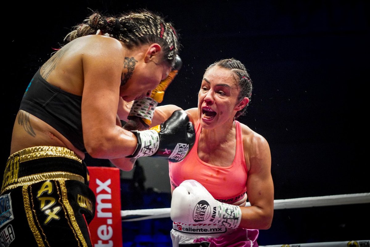 Fotografa de la Gente 📸 🥊 🇲🇽 tweet media