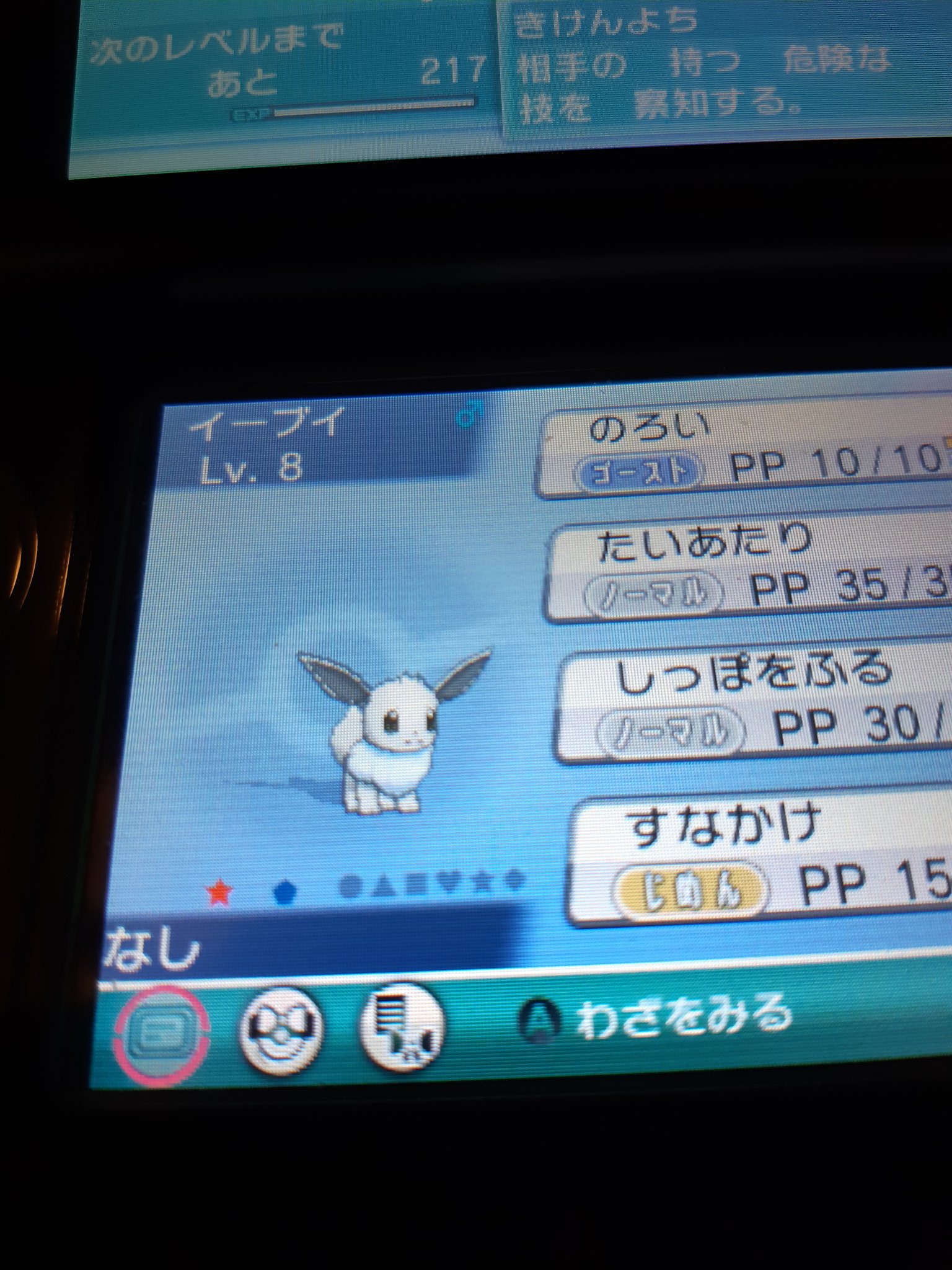たくま 卓馬 めちゃくちゃ久しぶりにオメガルビーのサーチをして色違いのイーブイをゲットしました しかも 夢特性 オメガルビーで色違いをゲットしたのは5年ぶりです 色違いポケモン イーブイ T Co 0kcjc4ynr1 Twitter たくま 卓馬 めちゃくちゃ久しぶりにオメガルビーのサーチをして色違いのイーブイをゲットしました しかも 夢特性 オメガルビーで色違いをゲットしたのは5年ぶりです 色違いポケモン イーブイ T Co 0kcjc4ynr1 Twitter