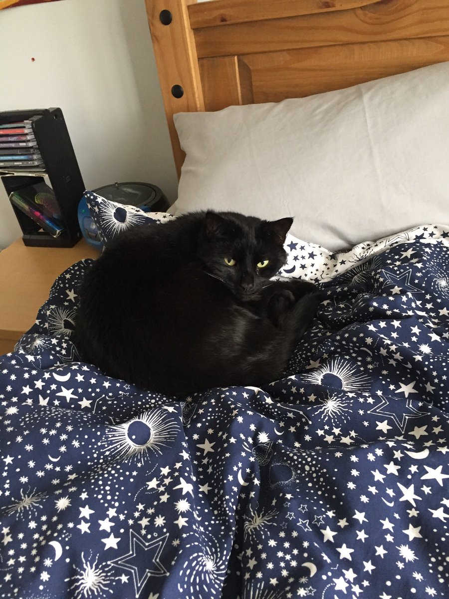 SherylWalpole's tweet photo. Just one more night at this #housesit Thanks @Housesitting for giving me this opportunity & so many others. Next housesit, some rare sheep! #alpacas #CatsOfTwitter #housesitting #TeamTrusted https://t.co/8zesI6psFy