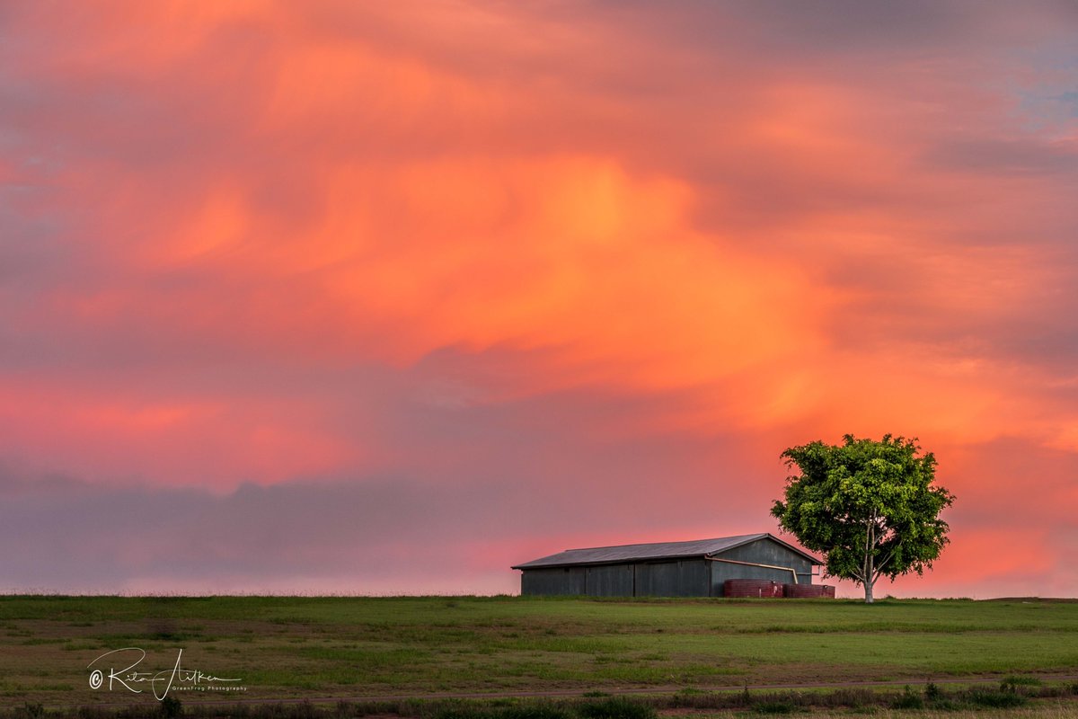 GreenFrogPhotog's tweet photo. This was taken last weekend out towards Peachester. Reverse sunset with some stunning colours in the sky. 
@Queensland @sunset @StormHour @Australia @CanonAustralia @TourismAus #sunset #farmlife #australia #rural @abcbrisbane https://t.co/BPq3fomTus