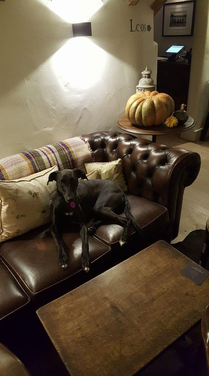 Happy Halloween 🎃