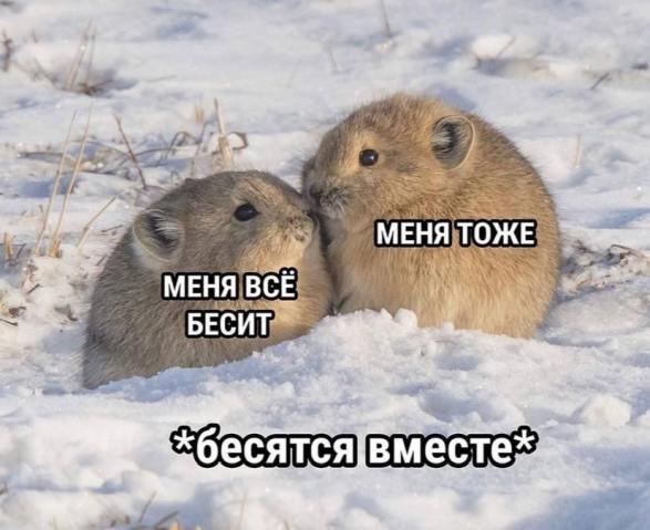 so_mad_so_funny's tweet photo. https://t.co/qUF3Xviq5Z