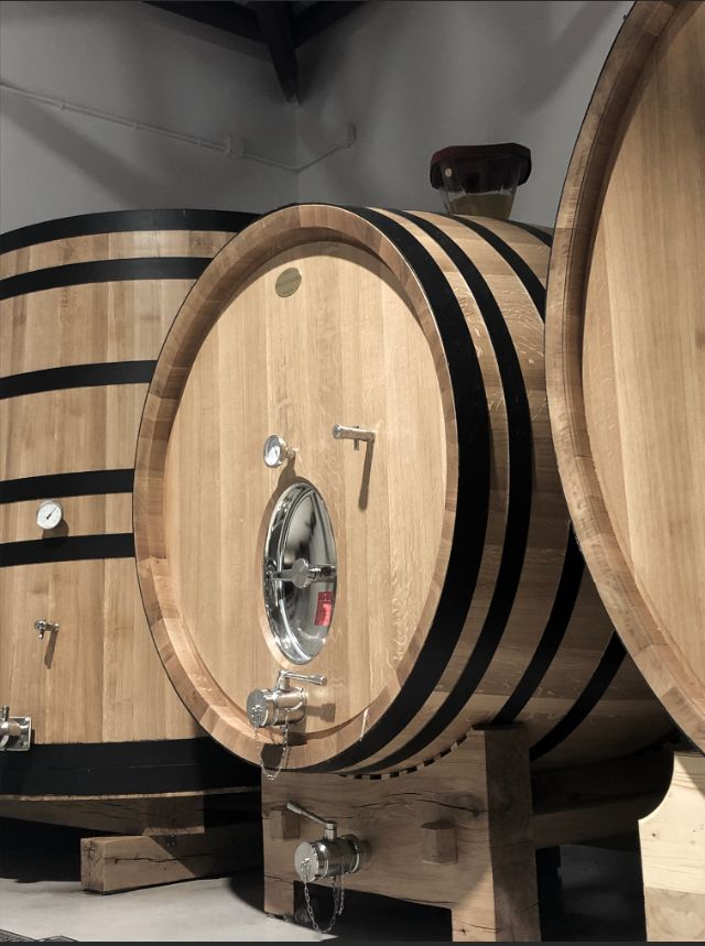 BODEGA DE PAGO FINCA ELEZ tweet media