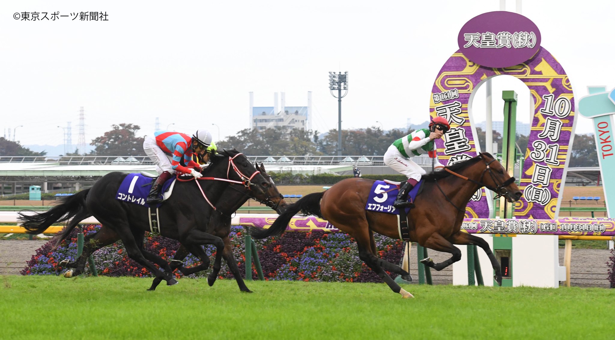 東スポ競馬 on X: 東スポ競馬 on X: