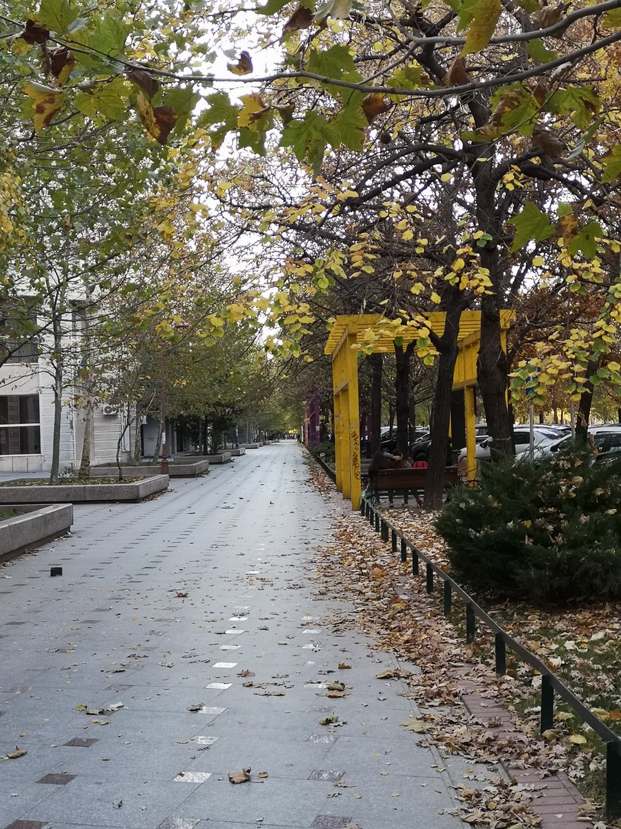 913_Crys's tweet photo. So quiet and no cars bc of the trafic restrictions, no people in the middle of the city. #RunInBucharest marathon.
Autumn is beautiful 🧡🍂🍁
#HappyHalloween2021 https://t.co/6Qr0Bq6SUb