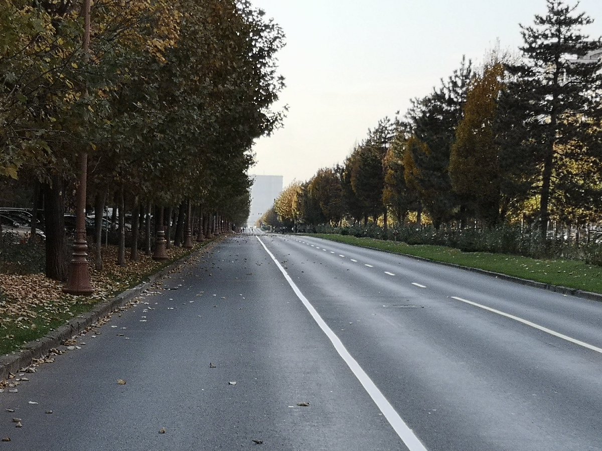 913_Crys's tweet photo. So quiet and no cars bc of the trafic restrictions, no people in the middle of the city. #RunInBucharest marathon.
Autumn is beautiful 🧡🍂🍁
#HappyHalloween2021 https://t.co/6Qr0Bq6SUb