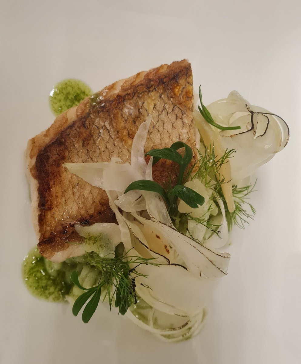 rm_koken's tweet photo. Gisteren #oplocatie weer een mooi 5-gangendiner geserveerd. Tussengerecht: Groene kruiden risotto, snoekbaars, licht gebrande venkel en zeevenkel. #blijmee geserveerd met een sauvignon blanc #top. Een keer een #privekok in de keuken, check https://t.co/UVhqYksi82 voor meer info. https://t.co/7CrW089fF1