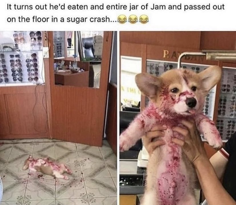 WholesomeMemes tweet media