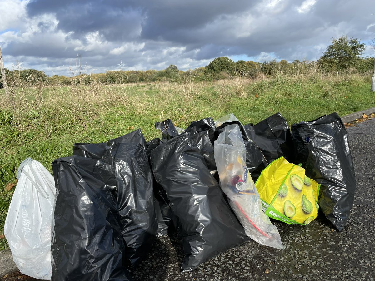 Flats_Pickers's tweet photo. We were few in number but strong of arm. Seven hardy pickers braved the wind and then enjoyed glorious sunshine and collected 20 bags. Come join us next month - Sunday 28th November 11-12.30. #E12 #E7 #WansteadFlats https://t.co/TJOVEeEP81