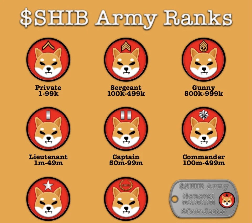 drsteinbach's tweet image. #SHIBARMY