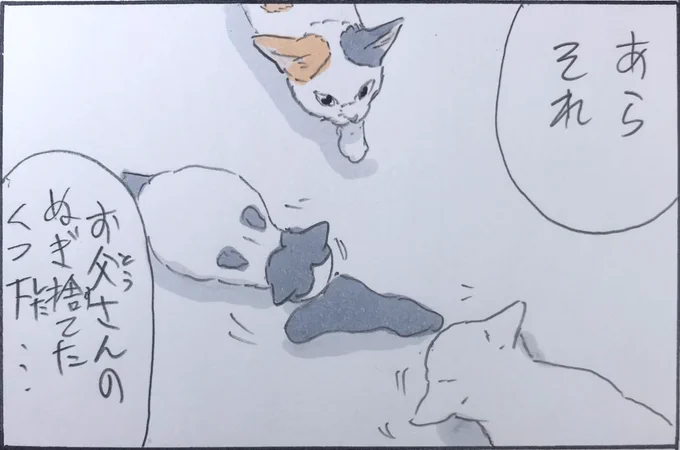 『靴下の魔力?』 