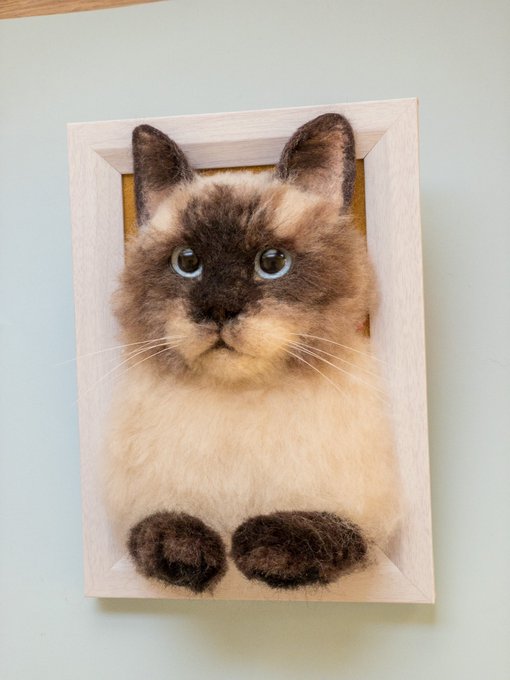 シャム猫のtwitterイラスト検索結果