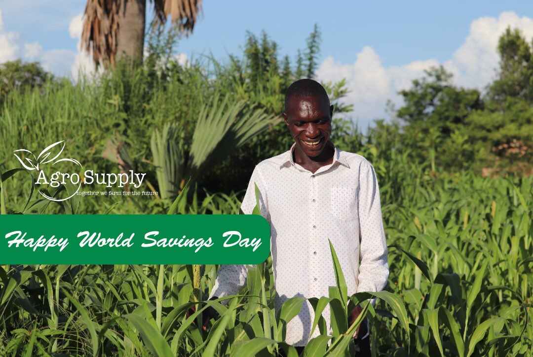 agrosupplyug's tweet photo. In respect of the #WorldSavingsDay2021 theme, “SAVE AS SOON AS YOU EARN”,
we are privileged to offer small holder farmers a platform that enables them save for agro-inputs at any point of the season and enable them reach their production goals. #Farm4theFuture https://t.co/2nY9yFPfBy