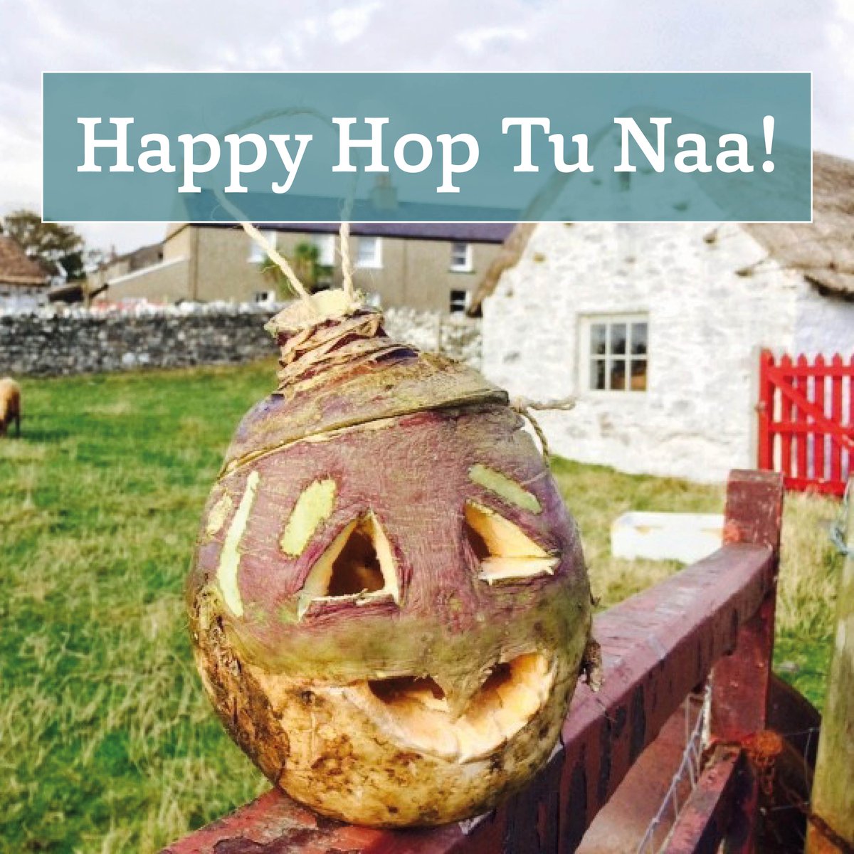 Enjoy the spooky celebrations! #islandlife #iom #hoptunaa #jinnythewitch 😈 👻 💀