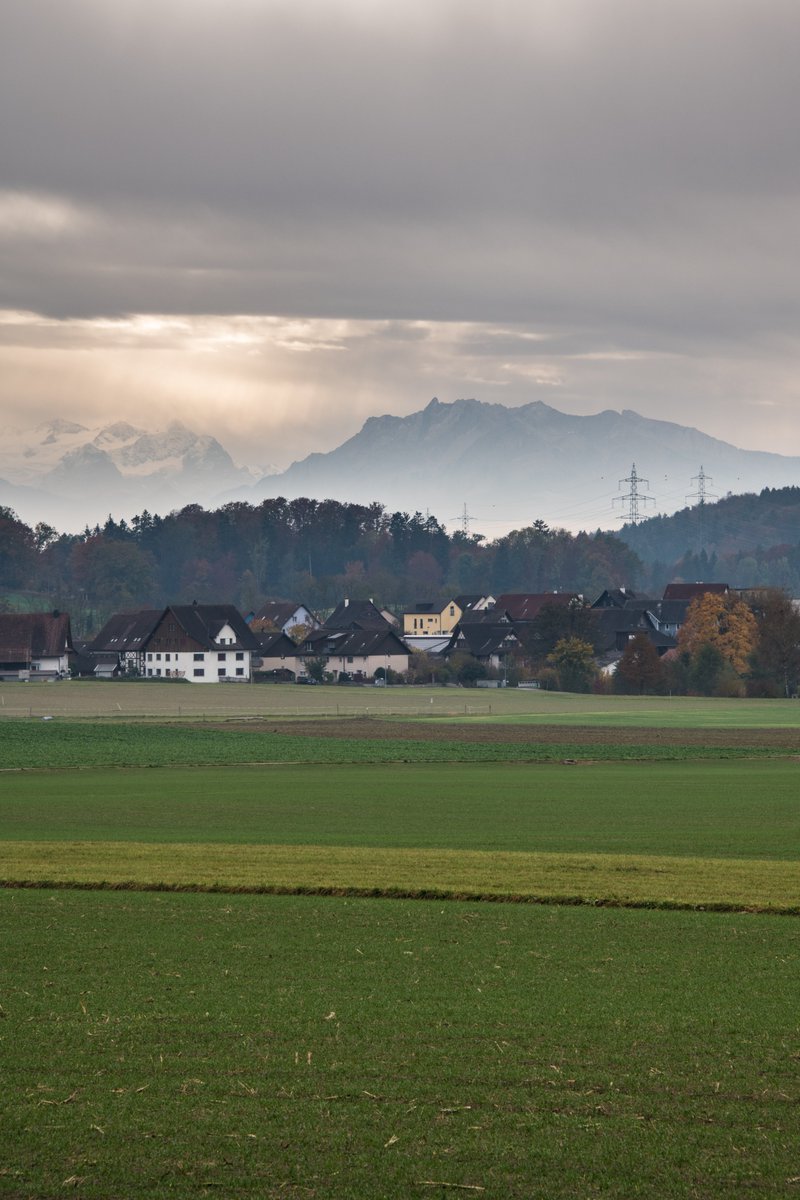 RazvanGabrielP2's tweet photo. A bit of #Swiss farming #landscape, and some late October #photography near #Zürich.
#Schweiz #Hedingen https://t.co/wV2J3rzwnU