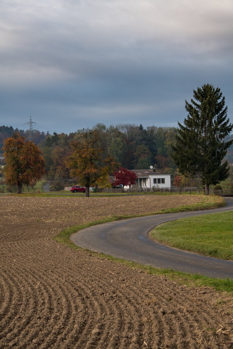 RazvanGabrielP2's tweet photo. A bit of #Swiss farming #landscape, and some late October #photography near #Zürich.
#Schweiz #Hedingen https://t.co/wV2J3rzwnU
