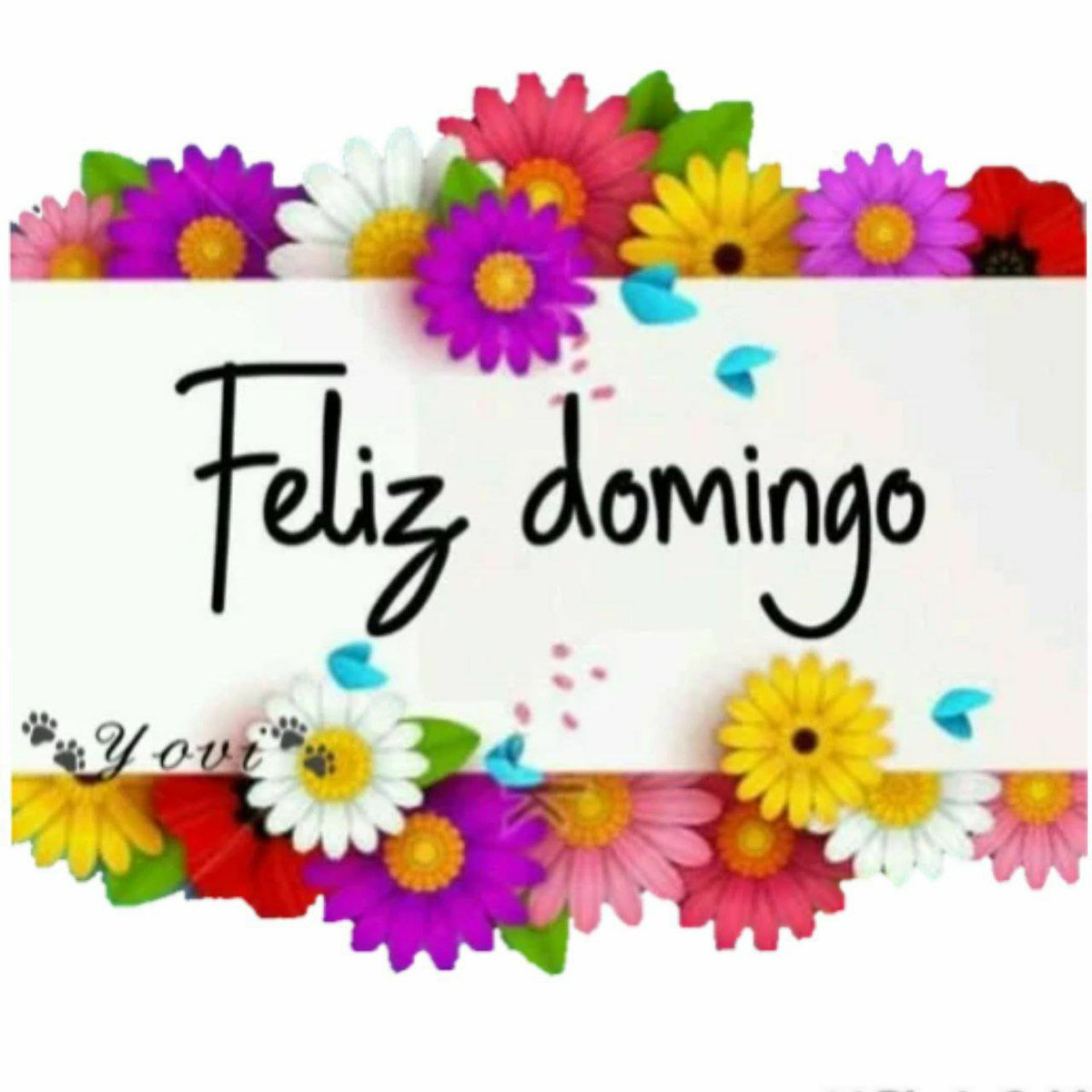 #AlíPrimera80YCantando <a href="/Oriana_Candanga/">Oriana_XXI</a> <a href="/OBracho1/">🌹🎀OBracho💞</a> <a href="/escobarj291/">Crystal💖💋</a> <a href="/Denice19077108/">Denice</a> <a href="/Vallerca29/">Vallerlin Canelón😷</a> <a href="/Antosuarez88/">Anto sígueme y te sigo compañeros de lucha</a> <a href="/HurtadoNorlix/">Norlix Hurtado Mayoral</a> <a href="/JairoLopez_2021/">Jairo López</a> <a href="/yasmi70/">@yasmi70 💃🎄🎉😷</a> <a href="/Yuli7_2021/">🌻🍁🌻La Vida es Hoy 10K🌻🍁🌻</a> <a href="/LucenaVilma/">🌸💕Vilma Angulo Lucena💕🌸</a> <a href="/CarlosG86569847/">𝒞𝒶𝓇𝓁ℴ𝓈 𝒢𝓊ℯ𝓇𝓇𝒶</a> <a href="/Vanessa58300128/">Vanessa Solorzano</a> <a href="/peta_jose1/">🎖️Hender ⭐⭐🥰💕🎖️</a> <a href="/mercedeslouzaod/">mercedes louzao de g</a> <a href="/virgi_yeslim/">Virg! Romero Chacón 🍥</a> <a href="/Josetuitero20/">@Josetuitero20</a> <a href="/BELEN267248505/">❤️😘BELEN2 🤗🎅🤶🎄</a>