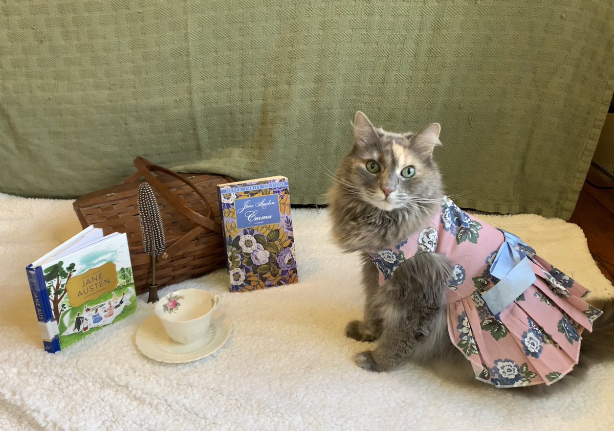 AprilHicks_BHBL's tweet photo. My literary #halloween2021 submission. Sherlock and Emma as their namesakes and Grayson the English Setter as the English folklore hero Robin Hood. #CatsInCostume2021 #cats #dogs #Sherlock #JaneAusten #Robinhood #emma @duchessgoldblat https://t.co/mPuNE66jm2