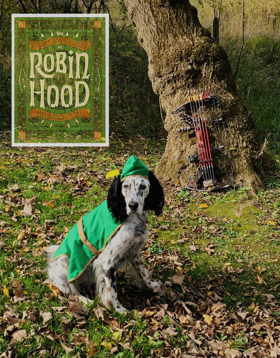 My literary #halloween2021 submission. Sherlock and Emma as their namesakes and Grayson the English Setter as the English folklore hero Robin Hood. #CatsInCostume2021 #cats #dogs #Sherlock #JaneAusten #Robinhood #emma <a href="/duchessgoldblat/">Duchess Goldblatt</a>