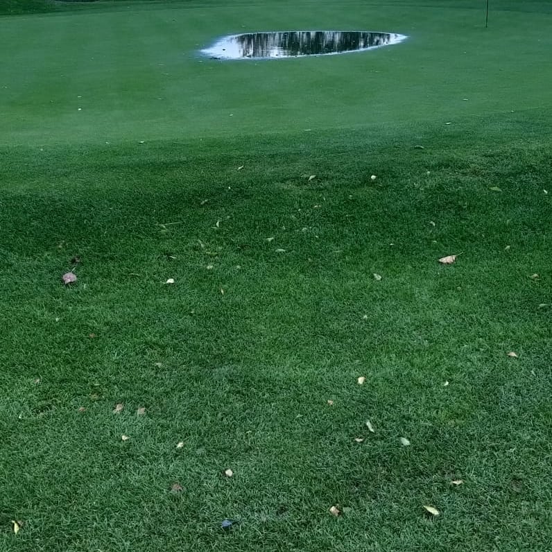 Broadway Golf Club tweet media