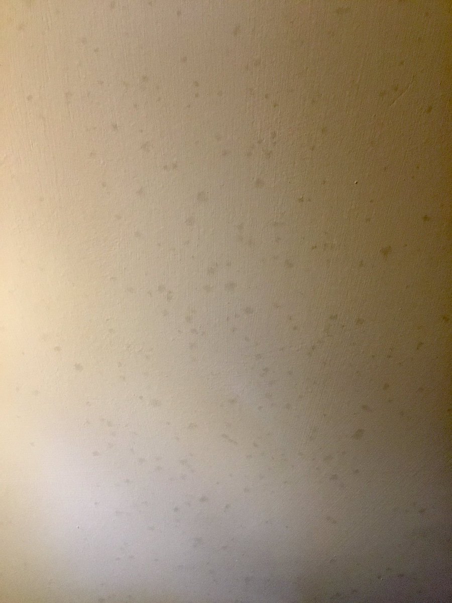 MikeDellwick's tweet image. Can anybody tell me what could be causing this?
Both walls were painted nearly two years ago with clay paint, spots only started to appear recently.
One is on a solid wall the other on plasterboard.
No problems before walls were painted.
#DampProblems?
