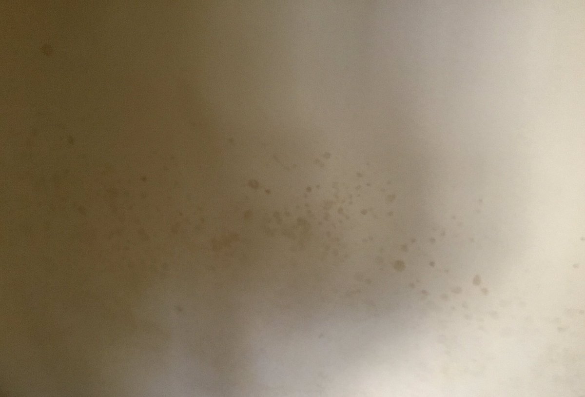 MikeDellwick's tweet image. Can anybody tell me what could be causing this?
Both walls were painted nearly two years ago with clay paint, spots only started to appear recently.
One is on a solid wall the other on plasterboard.
No problems before walls were painted.
#DampProblems?