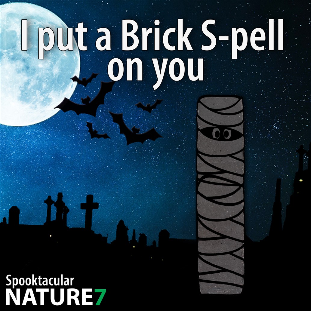 🧹 𝐈 𝐩𝐮𝐭 𝐚 𝐬𝐩𝐞𝐥𝐥 𝐨𝐧 𝐲𝐨𝐮 🔮

De spooktacular #Nature7Brick collectie heeft ons helemaal betoverd met zijn uniek formaat. 🧙🏻

🧱 Spooktacular #Nature7Brick S
👉 bit.ly/Brick_S 

#Halloween #HandMade #Ecological #Brick7
