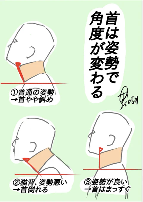 頭首肩は連動してます‼︎
首をまっすぐ→姿勢が良くなる。
首をが倒れる→猫背になる。 