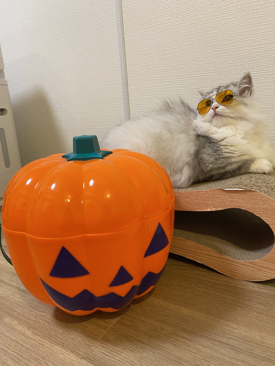 shushupshu's tweet photo. happy Halloween🎃💕 https://t.co/HJE6j3U9ia