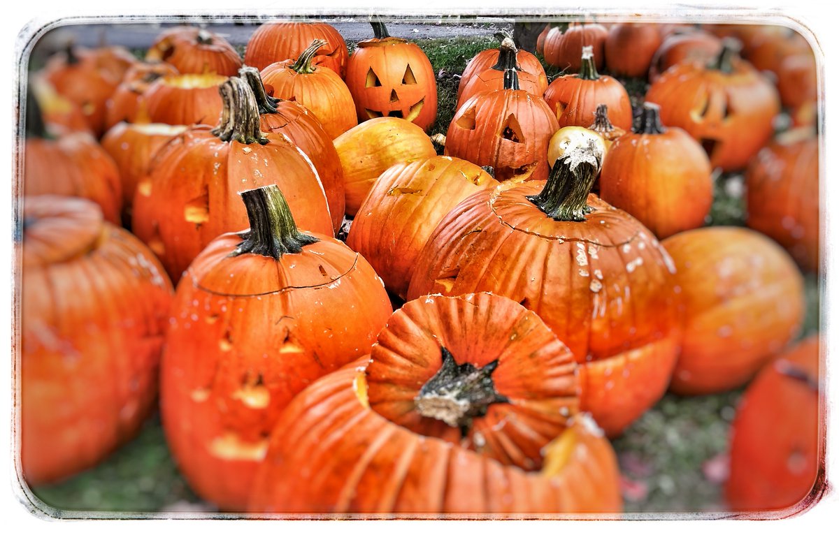 HTLegends's tweet image. #IrvingtonHalloween2021