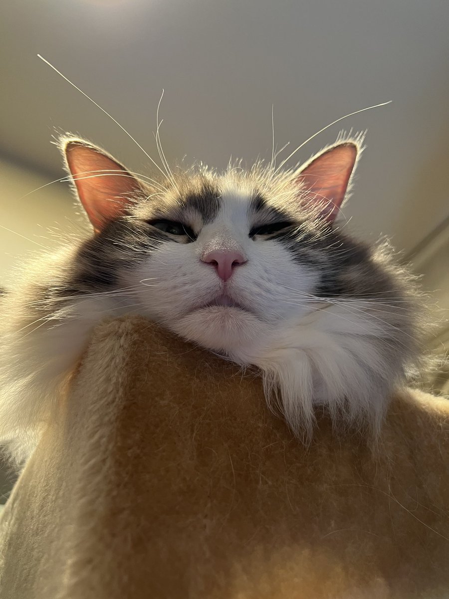 ちょっと不機嫌 