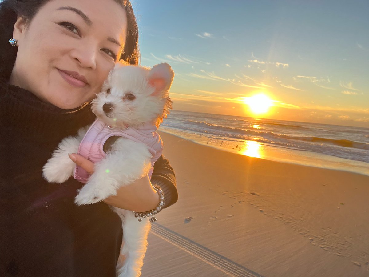 NakanoDenise's tweet photo. Happy Halloween!
Make this day a treat.
Getting in some #VitaminSea with my gurl #Mochi who somehow makes the #sunrise even brighter.
#Sundaysunrise
#mochithepup
#MochitheChonzer
#NJShore
#adventuresofMochi
#sunrise https://t.co/bqu2mAkwmq