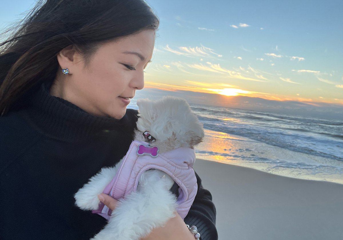 NakanoDenise's tweet photo. Happy Halloween!
Make this day a treat.
Getting in some #VitaminSea with my gurl #Mochi who somehow makes the #sunrise even brighter.
#Sundaysunrise
#mochithepup
#MochitheChonzer
#NJShore
#adventuresofMochi
#sunrise https://t.co/bqu2mAkwmq