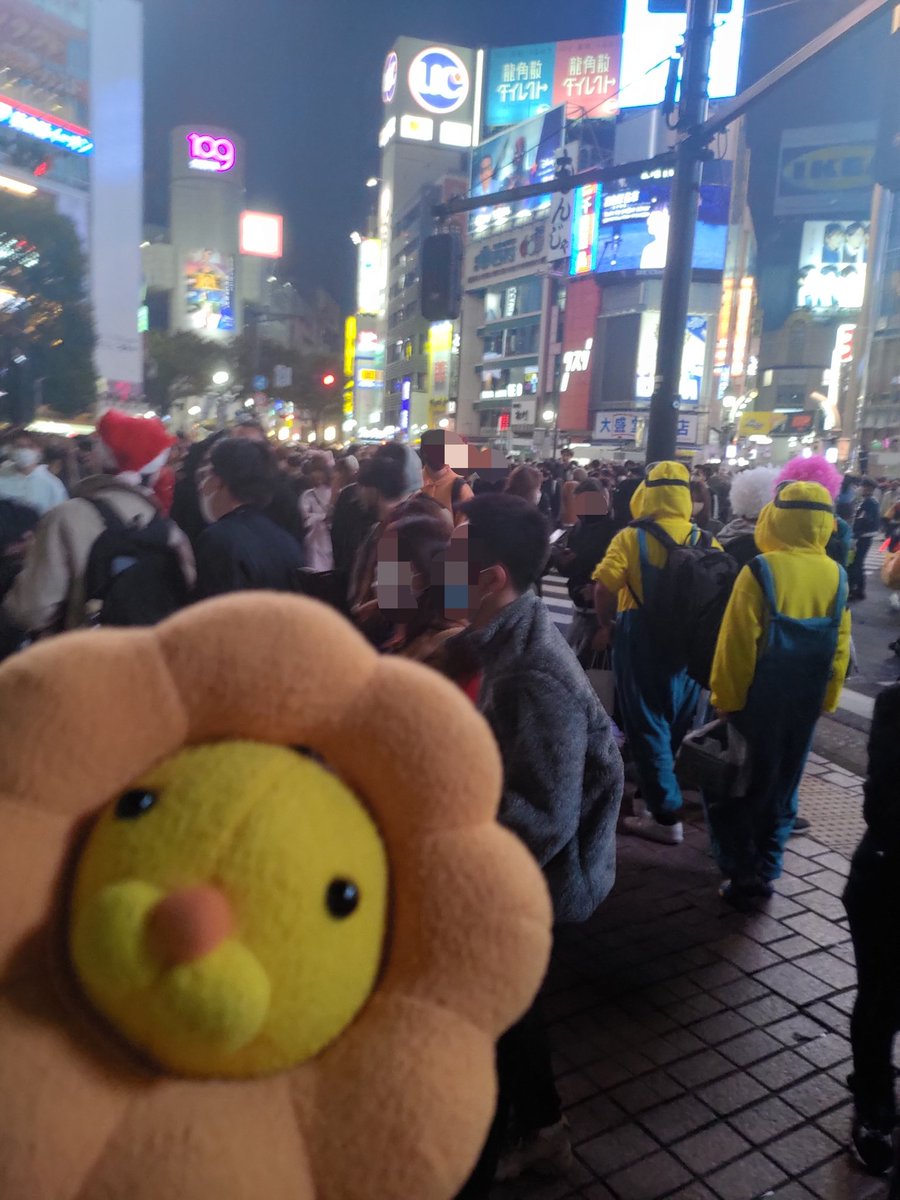 HAT / 帽子屋 (@hat_fx) / Posts / X