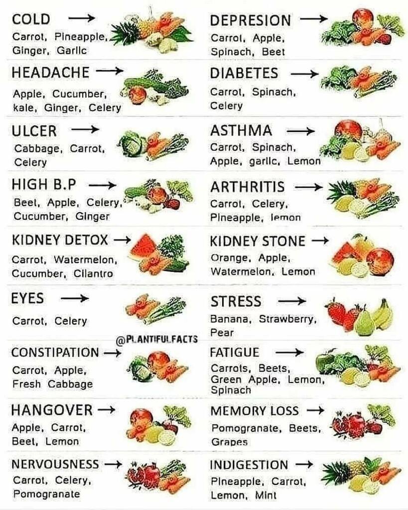 HBTtwit's tweet photo. Drop ❤ if you want more posts like this
Follow us @thehomebeautytips for more
🌿
These strategic juiced concoctions can aid in helping specific symptoms due to their nutrient profile.
▪️
This is not necessarily a cure, but it can help prevent and/or r… https://t.co/VXtdegdIUL https://t.co/3wO4YjXn3G