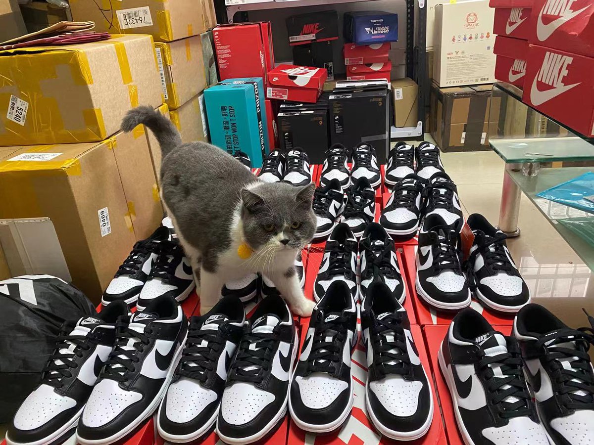 AnonymousLoan's tweet photo. Part 2 - hmmm 🧐 
What are you doing here sir ? https://t.co/lEiuMDpnEY