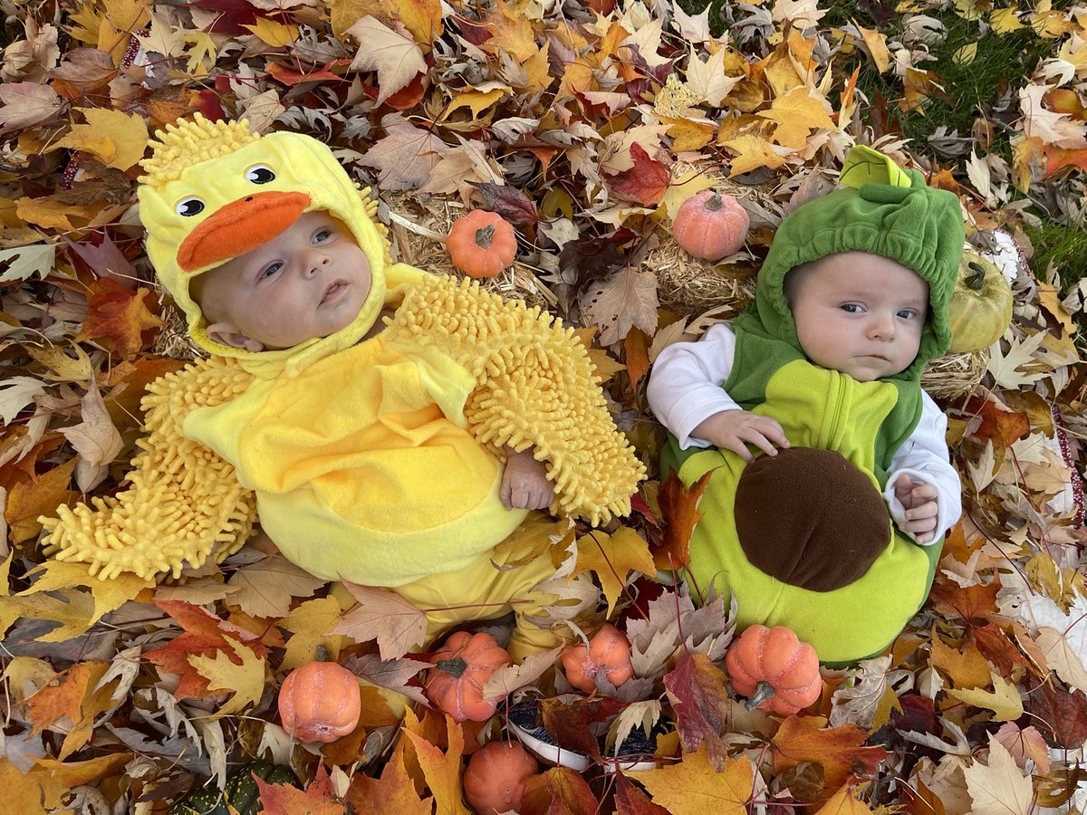 INTERNET SMASH tweet media