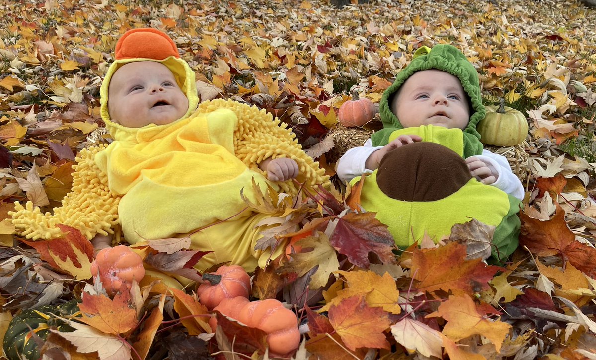 INTERNET SMASH tweet media