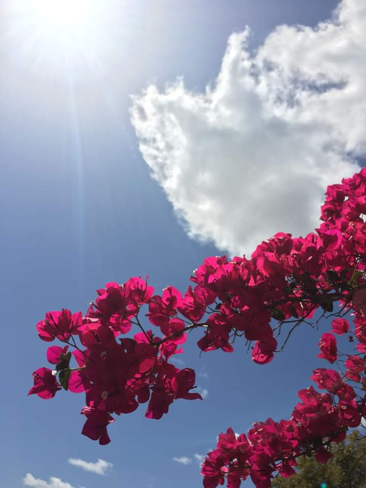 'Se i fiori crescono in Cielo,
Signore raccoglili in
un mazzo di fiori per me'.

Mettili nelle braccia di
mio padre e digli che
lo amo e mi manca..

Quando sorriderà, dagli
un grosso bacio e stringilo
forte tra le Tue braccia
proprio come avrei 
fatto io..