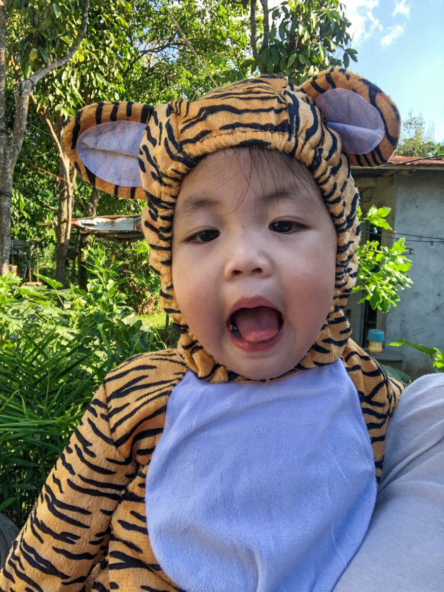 alliahcaperoso's tweet photo. SHET ANG CUTE NG TIGER KO 🥺🐯❤️ https://t.co/hGuICkk0o4
