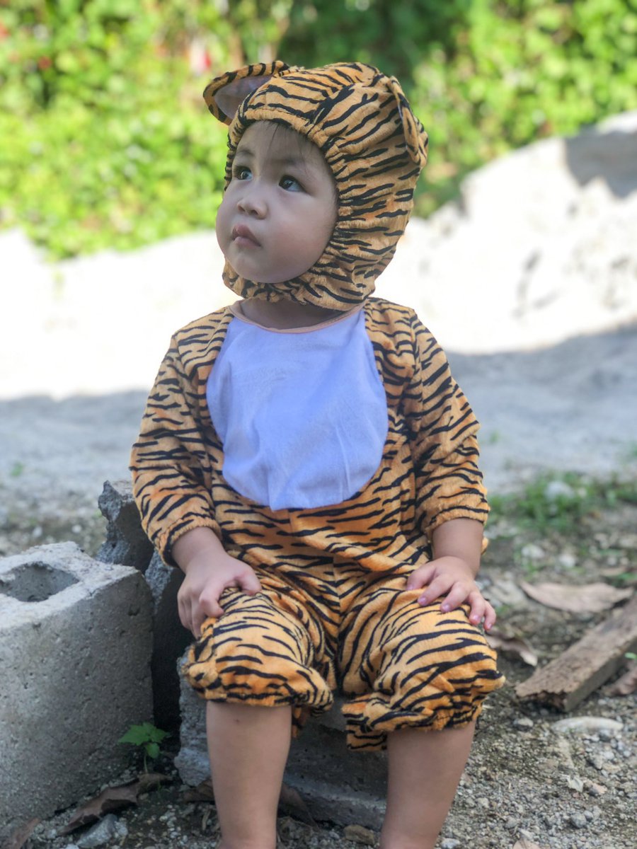 alliahcaperoso's tweet photo. SHET ANG CUTE NG TIGER KO 🥺🐯❤️ https://t.co/hGuICkk0o4