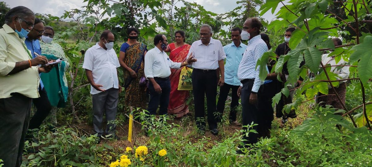 Sri. Vijaykumar, EVC of RySS and Sri. Kamaraj garu, State Director of Agriculture and other state-level officers of Tamilnadu visited Ayyavaripalli cluster of Chittoor district, Andhra Pradesh and interacted with successful farmers of the area, who are practising #naturalfarming.