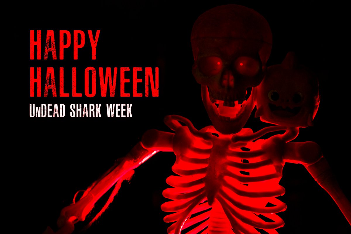 DeadSharkPro's tweet photo. #HappyHalloween!

Final day for #UnDeadSharkWeek so don't miss your chance to win some free goodies. https://t.co/REkCkig2p8