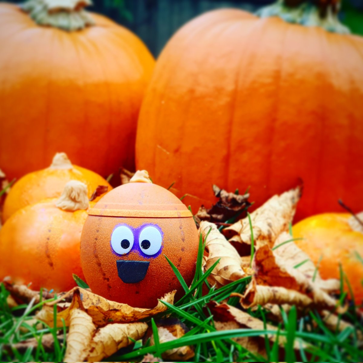 #HappyHalloween2021 
Betty's hiding in the pumpkin patch... <a href="/HEYDUGGEE/">HEY DUGGEE</a> <a href="/CBeebiesHQ/">CBeebies</a>