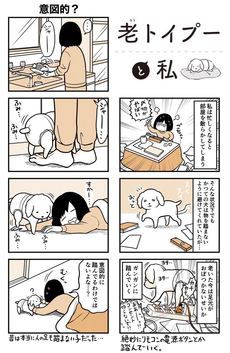 犬とゴミ部屋

犬はお利口なので、物を踏まないように歩いてくれてた🐕 