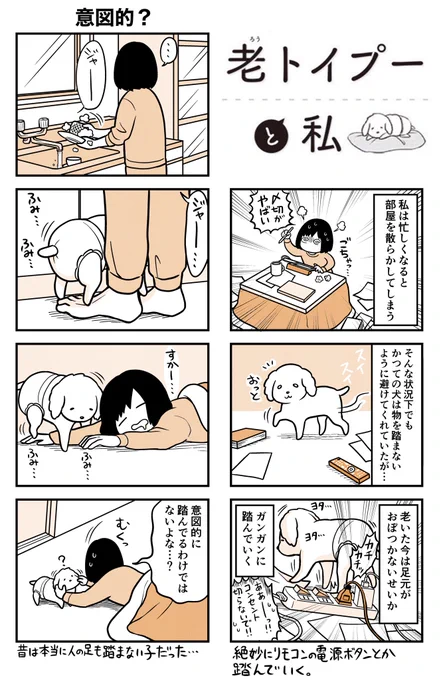 犬とゴミ部屋

犬はお利口なので、物を踏まないように歩いてくれてた🐕 