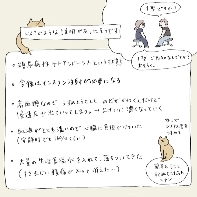 1型糖尿病発症の話③
#naotte_t1d 