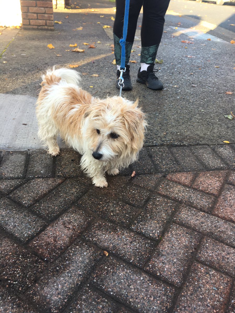 Karen Fitzpatrick 🇮🇪 tweet media